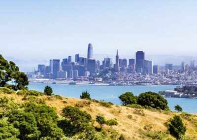 Naturalist East Bay Voyage