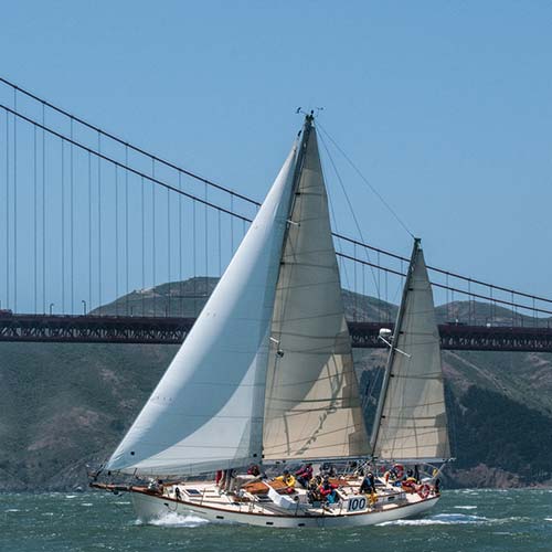Pegasus sails near the Golden Gate Bridge<br /> 